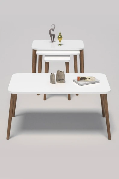 Zigon Sehpa Kr Ve Orta Sehpa Kr Torna Set Beyaz 1201 ürün görseli