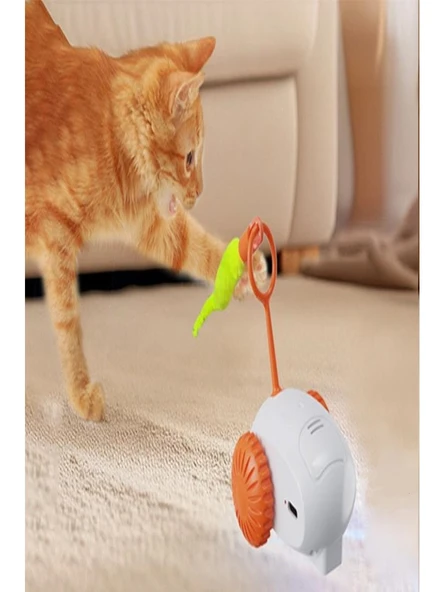 Yeni Nesil Şarjlı Otomatik Hareketli Tüylü Araba - 4