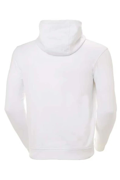 Helly Hansen Hh Logo Hoodıe Sweatshirt - 2