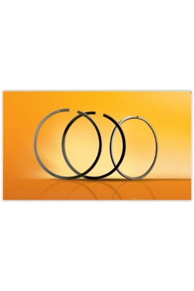 Goetze 06 H100 Kmy Bongo K2500 Crdı Euro5 2010 Segman Jp  Marka ürün görseli