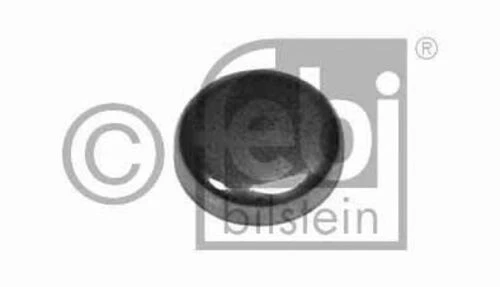 FEBI 02544  Blok Su Tapası 25 Mm Bm 75 ürün görseli 1