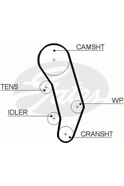 Continental CT914 5494xs Triger Kayisi 81 Dis Pompa Kayisi ( Vw: T4 96-03 2.5 Tdi Pompa Kayisi ) (WF576775) ürün görseli 1