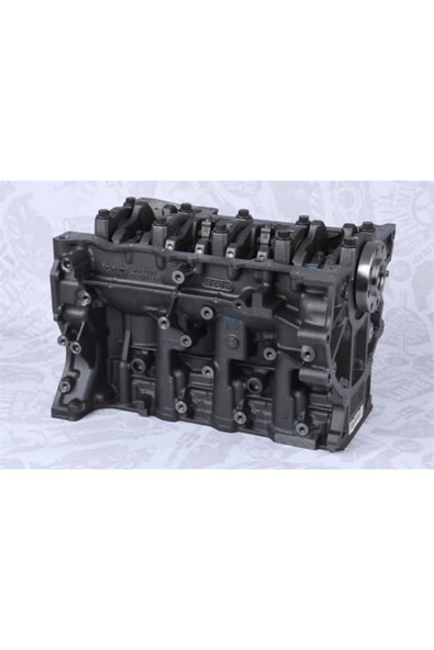 1608902380 Komple Motor Puma C96