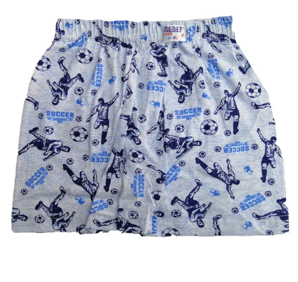 Sedef Yıldız Erkek Çocuk Desenli Penye Boxer - 3