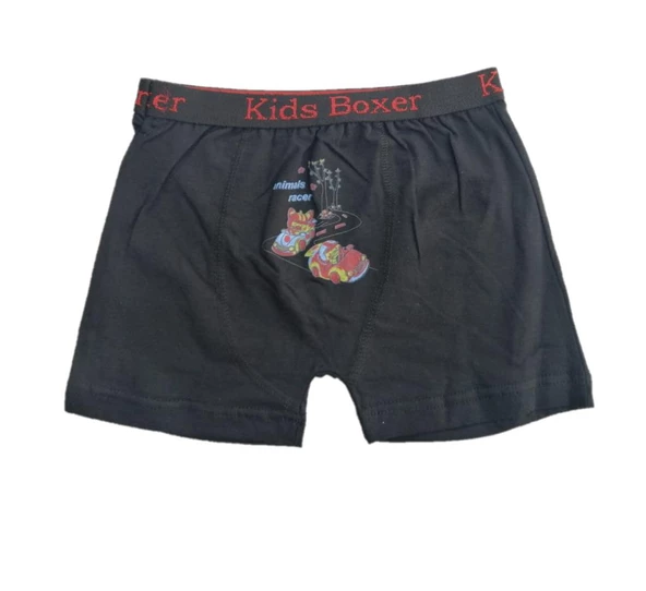 Sedef Yıldız Erkek Çocuk Likralı Boxer 1089 - 3