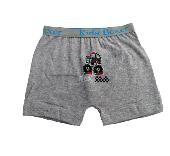 Sedef Yıldız Erkek Çocuk Likralı Boxer 1089 - 5