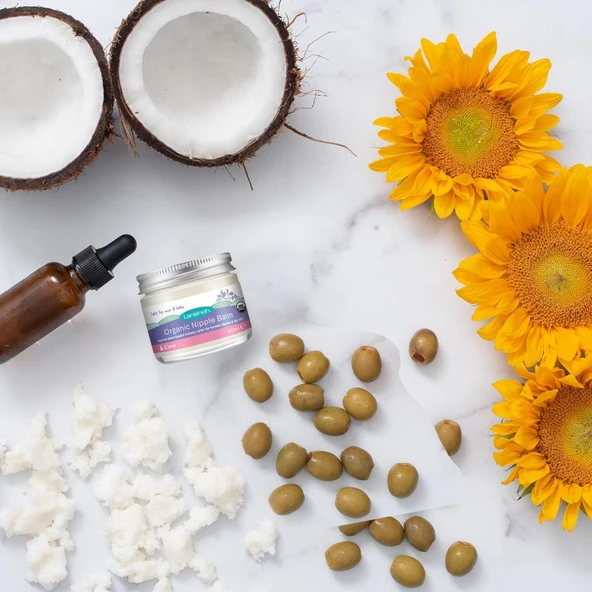 Nessiworld    Organik Göğüs Ucu Balmı 60gr - Resim 3