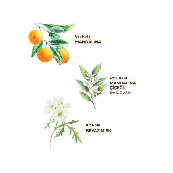 Nessiworld  Eyüp Sabri Tuncer Kolonya Pet Şişe Sprey 150 ml Bodrum Mandalinası - Resim 2