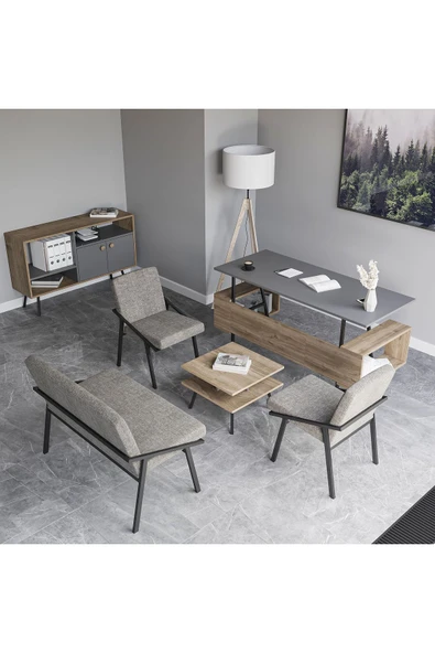 Lagomood İrony Ofis Koltuk Takımı Antrasit - 2