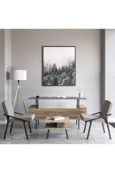 Lagomood İrony Ofis İki Adet Tekli Koltuk Antrasit - 2