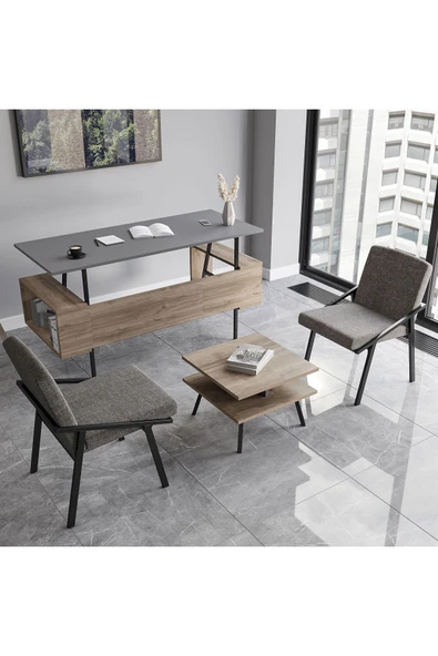 Lagomood İrony Ofis İki Adet Tekli Koltuk Antrasit