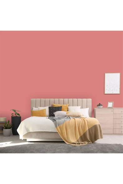 Polisan Q1 Lux Plastik -Sınırsız Renk 2.5 lt - 4