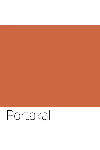 Polisan Selülozik Boya - 721 / Portakal - 0,75 Lt - 2