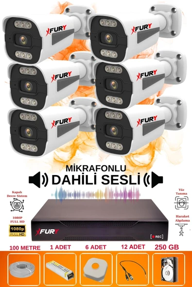 FURY 6 lı Sesli 6 Warm Led Gece Renkli Görüş Su Geçirmez Güvenlik Kamerası Seti 250GB - 2