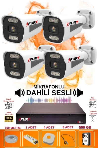 FURY 4 LÜ Sesli 6 Warm Led Gece Renkli Görüş Su Geçirmez Güvenlik Kamerası Seti 500GB - 2