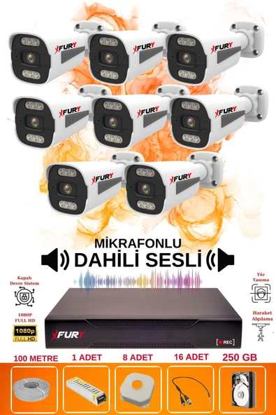 FURY 8 li Sesli 6 Warm Led Gece Renkli Görüş Su Geçirmez Güvenlik Kamerası Seti 250GB - Resim 2