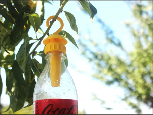 Eşek Arısı Kapanı Aparatı - Pet Şişe Uyumlu Asılabilir Tuzak Pratik Kullanım - 2