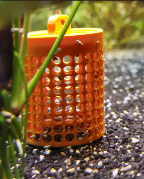 Akvaryum Salyangoz Kapanı Küçük Salyangozlar İçin Yemlik Tuzak Kutusu