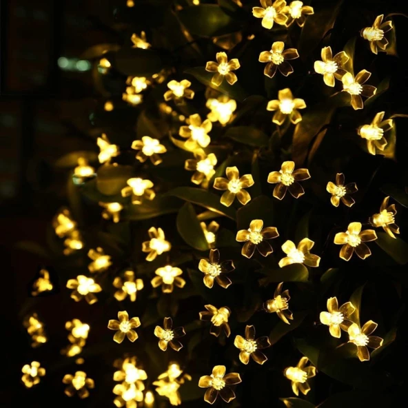 Solar 5m 50 Led Papatya Gün Işığı 8 Fonksiyonlu - 4