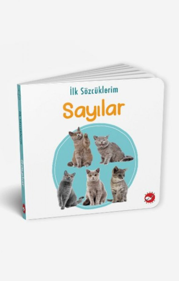 İlk Kitaplığım 15 Kitap ingilizce TÜRKÇE Renkli Resimli Sertsayfa - 5