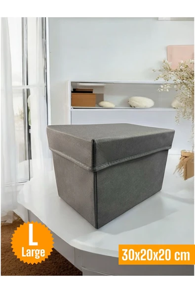 Balkan Room Antrasit Kapaklı Dolap İçi Düzenleyici Kutu Çok Amaçlı Saklama Kutusu Large 30x20x20 cm