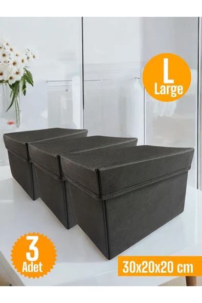 Balkan Room 3 Adet Siyah Kapaklı Dolap İçi Düzenleyici Kutu Çok Amaçlı Saklama Kutusu Large 30x20x20 cm