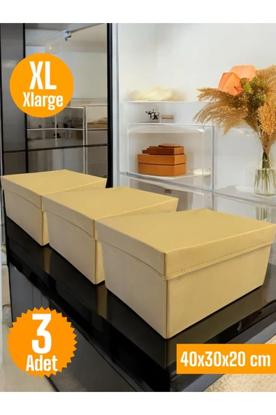 Balkan Room 3 Adet Kapaklı Dolap İçi Düzenleyici Kutu Çok Amaçlı Saklama Kutusu XLarge 40x30x20 cm - 3