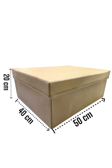 Balkan Room Kapaklı Dolap İçi Düzenleyici Kutu Çok Amaçlı Saklama Kutusu XXLarge 50x40x20 cm - 6