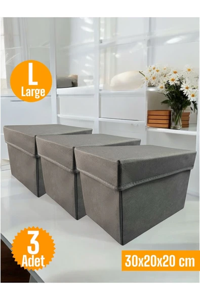 Balkan Room 3 Adet Antrasit Kapaklı Dolap İçi Düzenleyici Kutu Çok Amaçlı Saklama Kutusu Large 30x20x20 cm