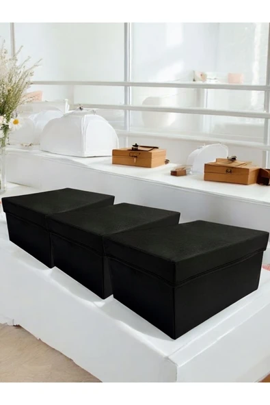 Balkan Room 3 Adet Kapaklı Dolap İçi Düzenleyici Kutu Çok Amaçlı Saklama Kutusu XLarge 40x30x20 cm - 2