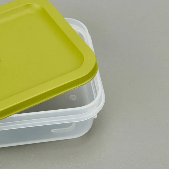 Alfa Derin Dondurucu Saklama Kabı - Asorti - 500 ml - 3