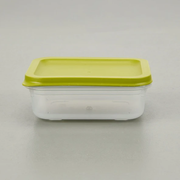 Alfa Derin Dondurucu Saklama Kabı - Asorti - 500 ml