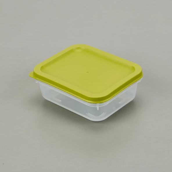 Alfa Derin Dondurucu Saklama Kabı - Asorti - 500 ml - 2