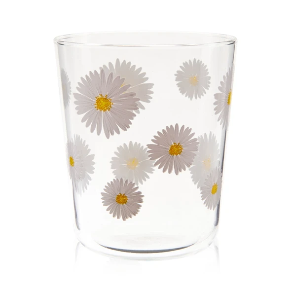 Fiona 4'lü Bardak Seti - Şeffaf - 315 ml - 3