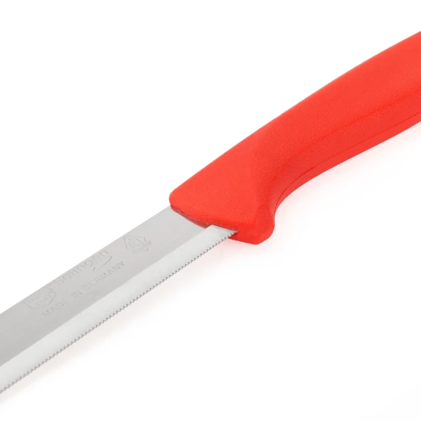 Lazer Dişli Bıçak - Asorti - 22 cm - 3