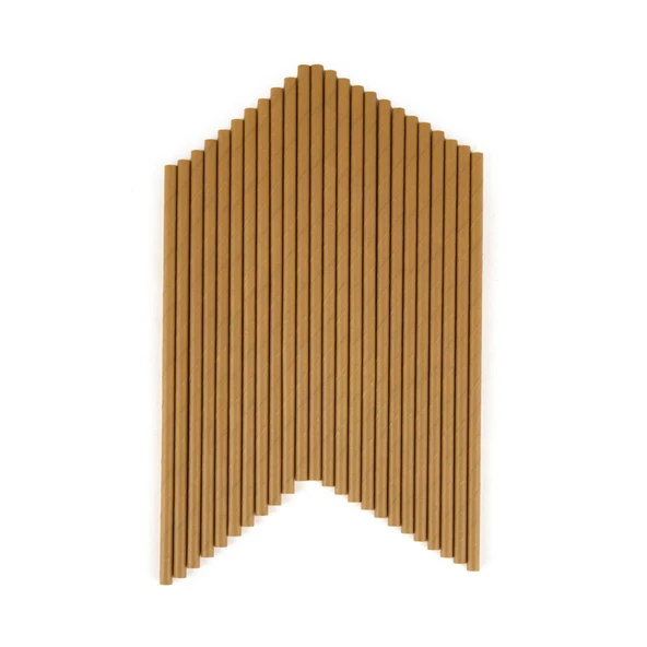 25'li Kağıt Pipet - Asorti - 20 cm - 2