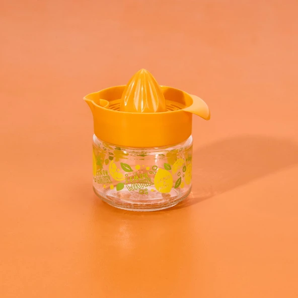 Fresia Desenli Limonluk - Asorti - 300 ml