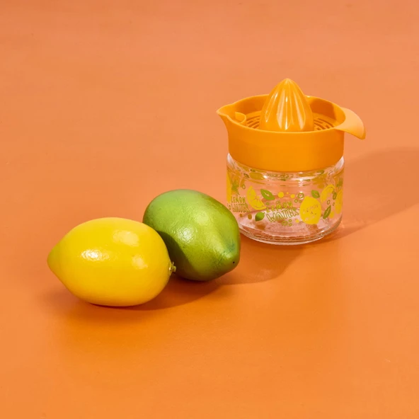 Fresia Desenli Limonluk - Asorti - 300 ml - 2