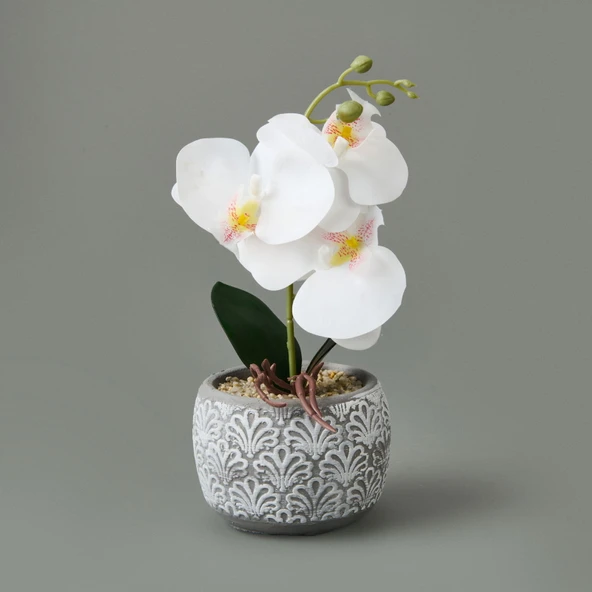 Etnik Desenli Beton Saksı Real Touch Orkide - Asorti - 28x12x12 cm ürün görseli