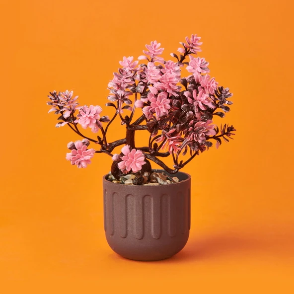 Dekor Yapay Bonsai - Asorti - 12x17 cm ürün görseli 1