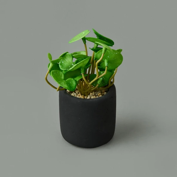 Mini Pot Soft Yaprak Saksılı Çiçek - Asorti - 8x6x6 cm - 3