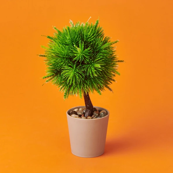 Dekor Top Yapay Çam - Asorti - 12x18 cm ürün görseli 1