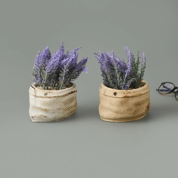 Çuval Saksıda Kır Lavantası - Asorti - 13x9x9 cm - 2