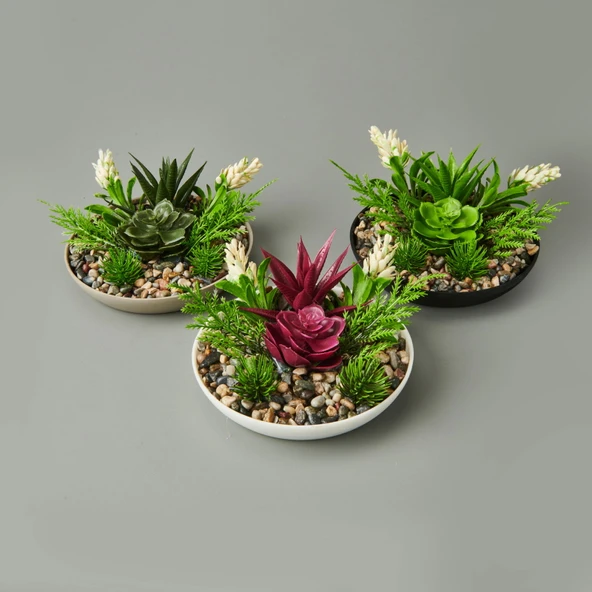 Dekor Aranjman Sukulent - Asorti - 15x10 cm - 3