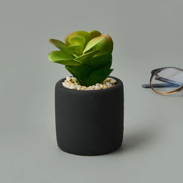 Mini Pot Sukulent - Siyah - 8x6x6 cm - 2