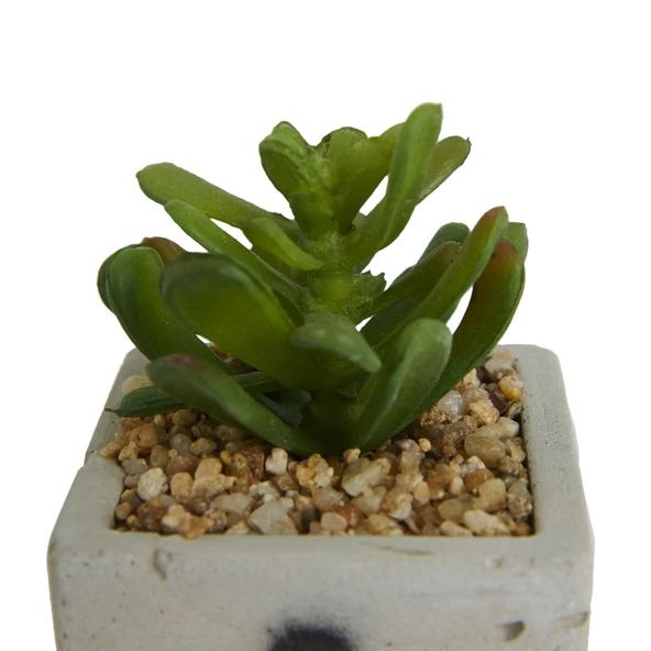 Beton Saksıda Yapay Sukulent - Asorti - 7x10 cm - 2