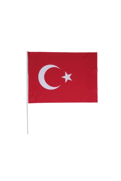 Ayyıldız Türk Bayrak Sopalı 50X75 cm - 2
