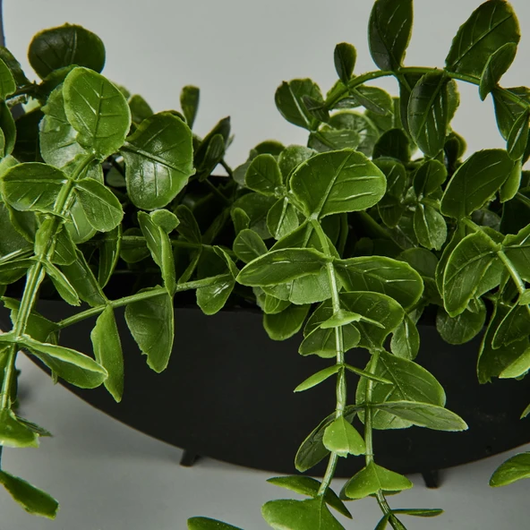 Dekor Yapay Okaliptus - Asorti - 50x20 cm - Resim 3