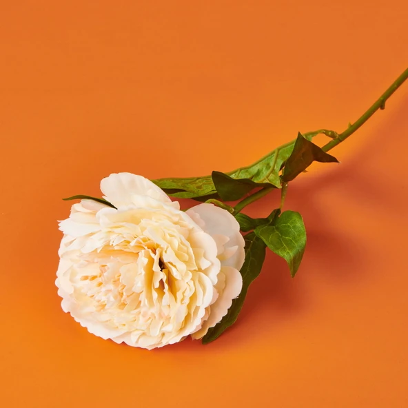 Şakayık Yapay Çiçek - Krem - 70 cm - 3