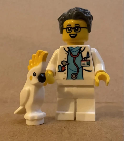 Orjinal Lego Minifigür Doctor with Parrot ürün görseli